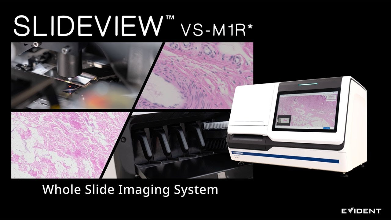 Digital pathology systems: a new era in morphological diagnostics