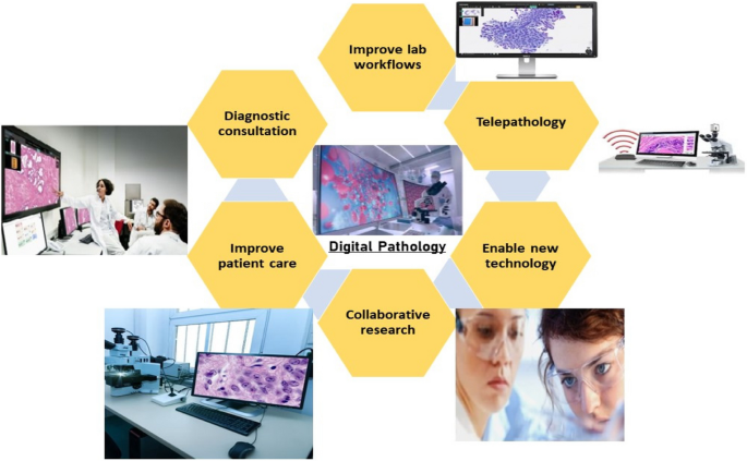 Telepathology solutions: remote diagnostics without borders