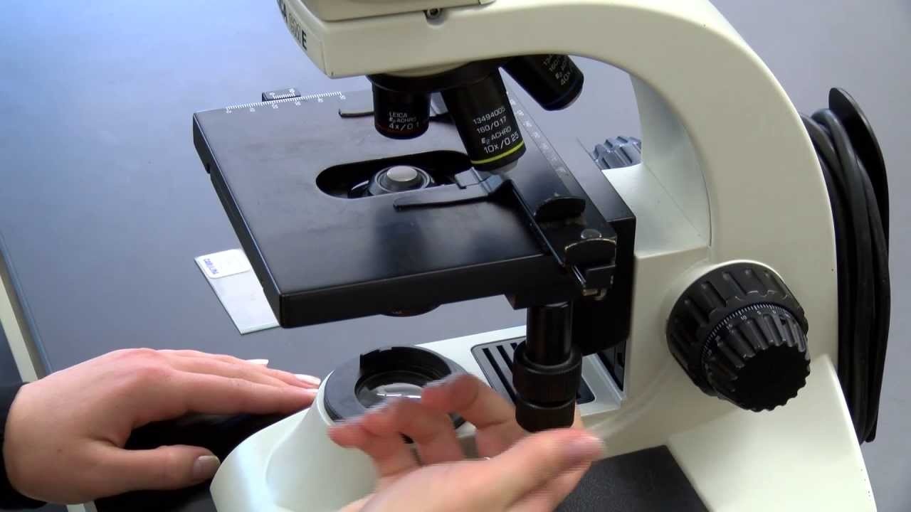 Laboratory microscopes