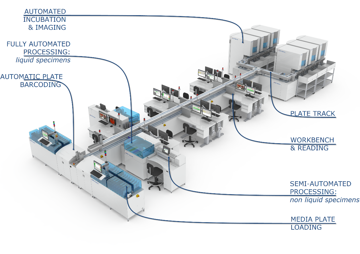 TLA — full laboratory automation