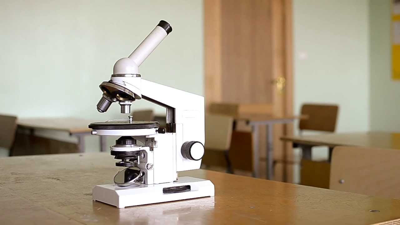 Устройство и принцип работы микроскопа, правила его использования