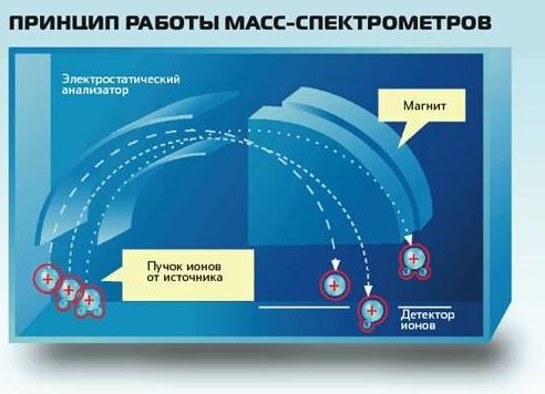 Масс-спектрометрия: что это, принцип работы