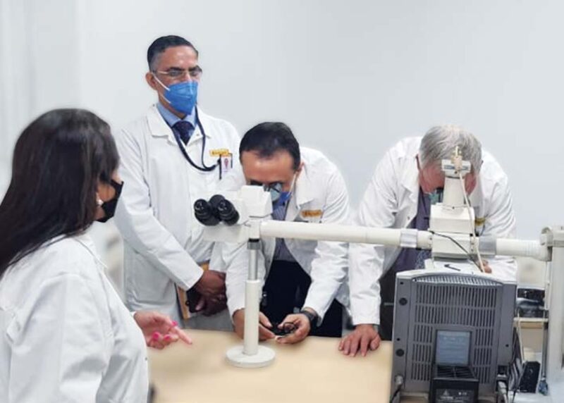 Laboratory professional performing analytical testing